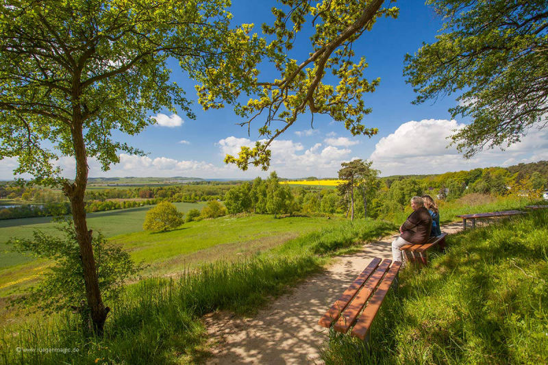 Aussichtspunkt Speckbusch