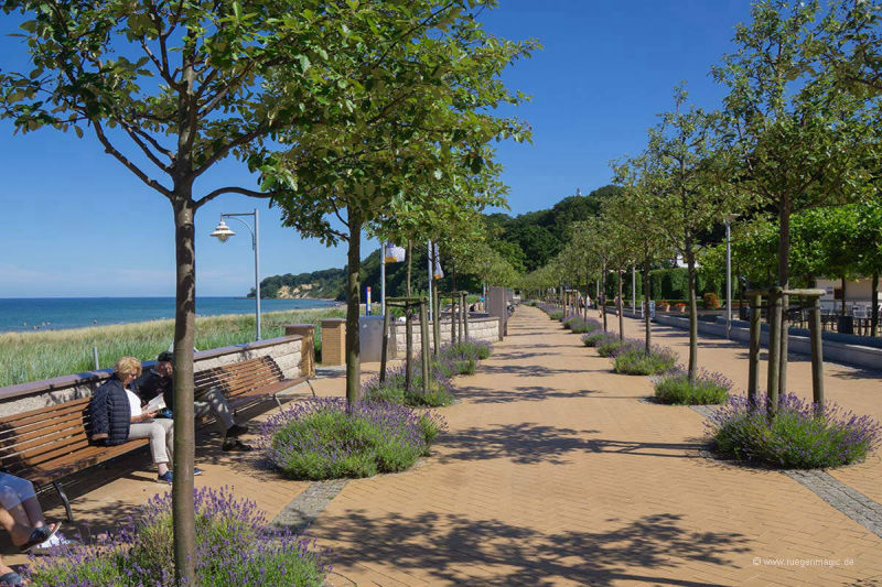 Die Bernsteinpromenade